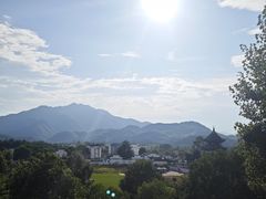 -黄牛肉馆·皖南土菜