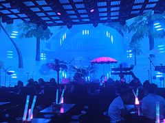 -MOSSO·Liveshow(M3香港广场店)