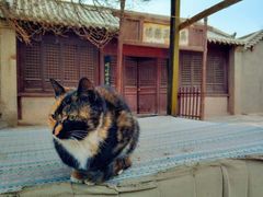-敦煌古城