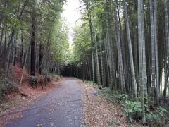 -苏州环秀晓筑养生度假村