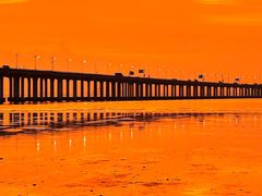 -宝安西湾红树林湿地公园