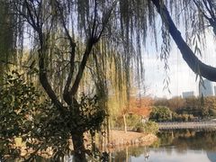 -后襄河公园