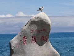 -青海湖国家重点风景名胜区