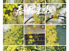 -贵阳市花溪国家城市湿地公园