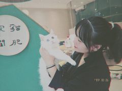 -飞行喵MR PILOT|猫舍·猫咖(静安大融城店)