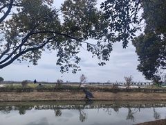 -嘉北郊野公园