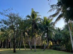 -三亚海棠湾万丽度假酒店