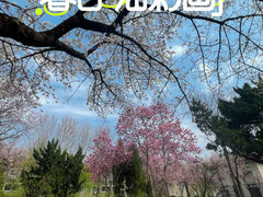 -山东大学(洪家楼校区)