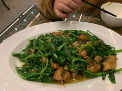 豌豆尖炒滑肉-月圆霖特色农家乐