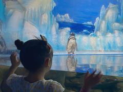 -常州海昌海洋探索馆