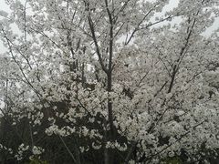 -堤角公园