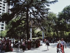 -西安市长乐公园