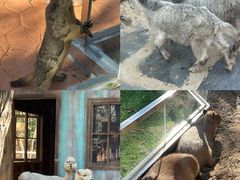 -南戴河国际娱乐中心