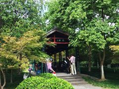 -运河游船(武林门码头)