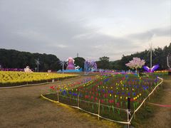 -海上田园