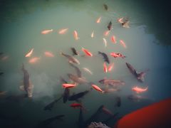 -桑干河大峡谷旅游区