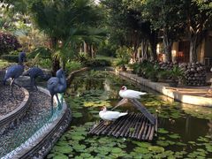 -三亚亚龙湾天域度假酒店