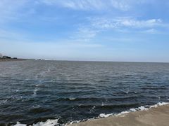 -碧海金沙