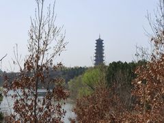 -江苏三台山国家森林公园