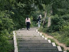 -青龙山国家森林公园
