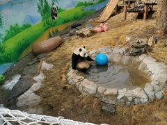 -栾川竹海野生动物园