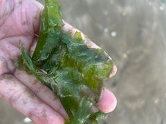 -宁波松兰山滨海旅游度假区