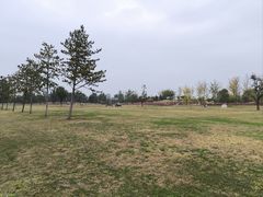 -汉长安城未央宫国家考古遗址公园