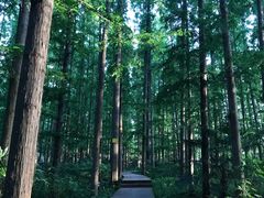 -上海怡沁园度假酒店