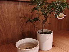 -CURRY YA 熟成咖哩專門店(深圳湾万象城店)