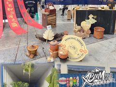 -南宁国际会展中心(会展东博文化旅游区)