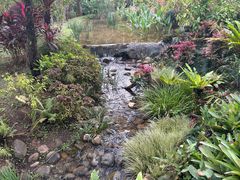 -东莞植物园