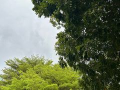 -长洲岛都市农业公园