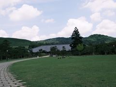 -奈良公园