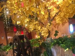 -老滇山寨•云南特色菜•地方菜•民族风情歌舞表演(金碧店)