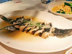 -苏浙汇(肇嘉浜路总店)