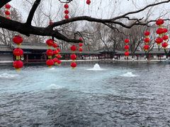 -百脉泉景区