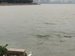 -深圳湾公园(南山区)