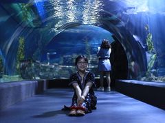-暹罗海洋世界