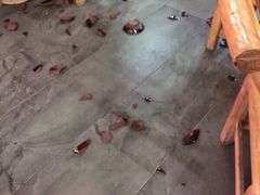 巴人堂-巴人堂(女儿城店)