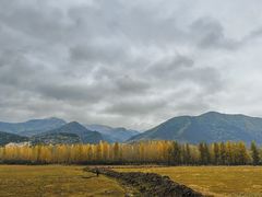 -塞罕坝国家级自然保护区