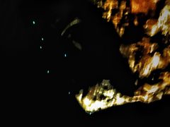 -怀托摩萤火虫洞