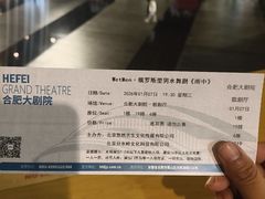 -合肥大剧院