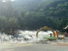 -西双版纳原始森林公园