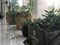 -DOPAMINE多巴胺·甜品面包·生日蛋糕(国贸店)
