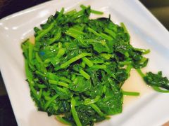 高山豆苗-新南华大酒店(广中店)