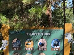 -青藏高原野生动物园