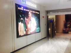 -红星电影世界上海张江绿地店