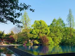 -杭州西子湖四季酒店·金沙厅