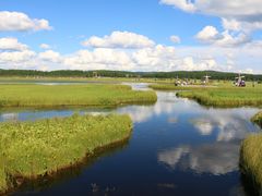 -塞罕坝国家级自然保护区