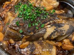 -海派美食·家宴海鲜青岛菜·石锅鲽鱼头(东方城店)